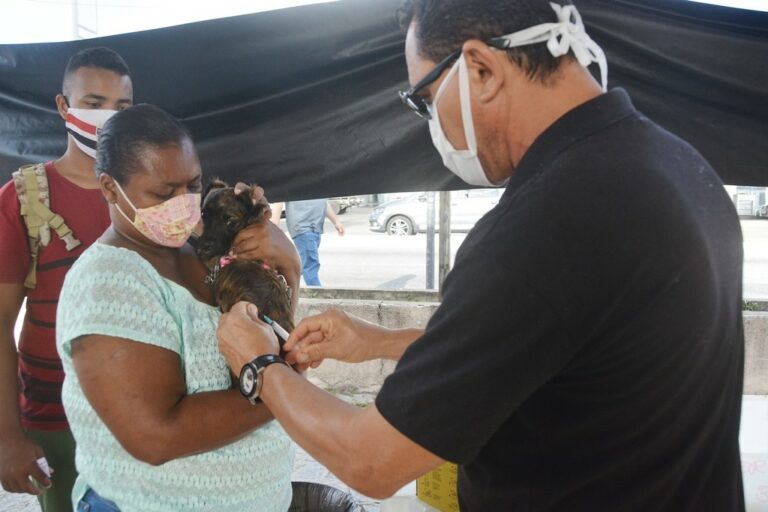 dia-d-de-vacinacao-contra-a-raiva-animal-acontece-neste-sabado-em-todos-os-municipios-da-paraiba