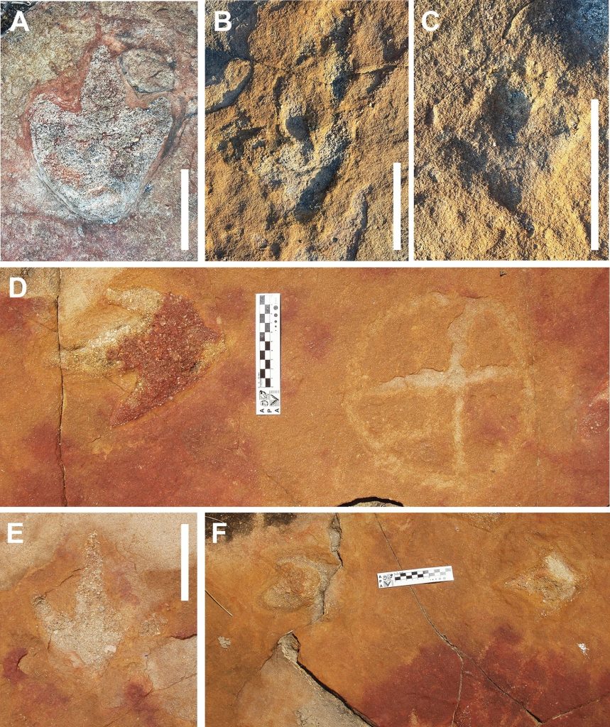 descoberta-sobre-povos-originarios-e-pegadas-de-dinossauros-no-sertao-da-pb-e-uma-das-mais-importantes-do-ano,-afirma-revista